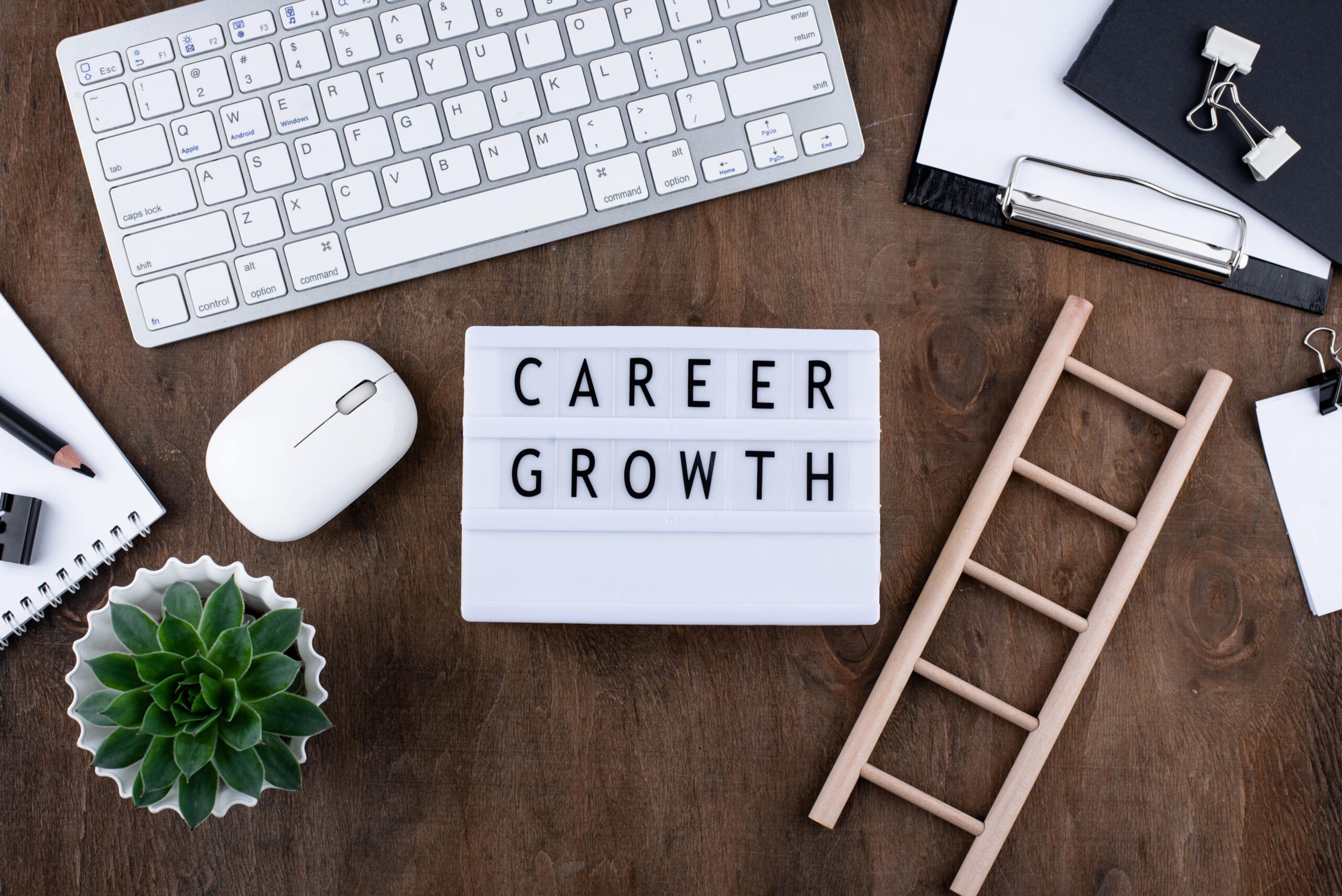 career-counselling-for-students-professionals-classtym
